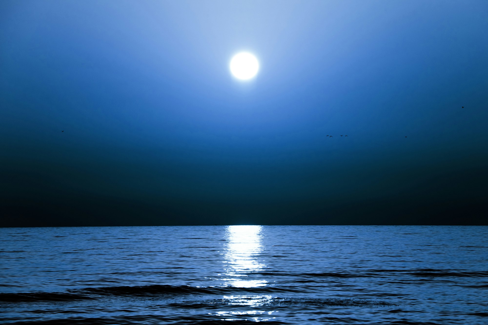 A blue night sky over the sea